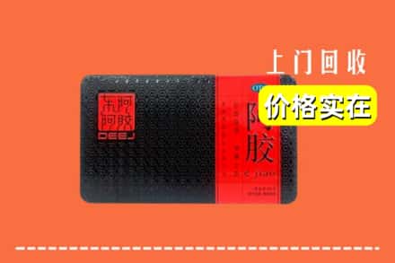 平城区回收阿胶