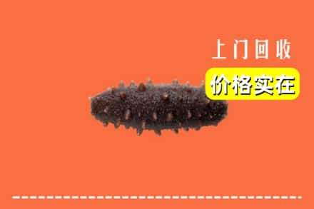 平城区回收海参